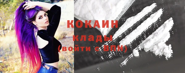 сатива Коряжма